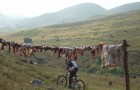 Peru mountain biker