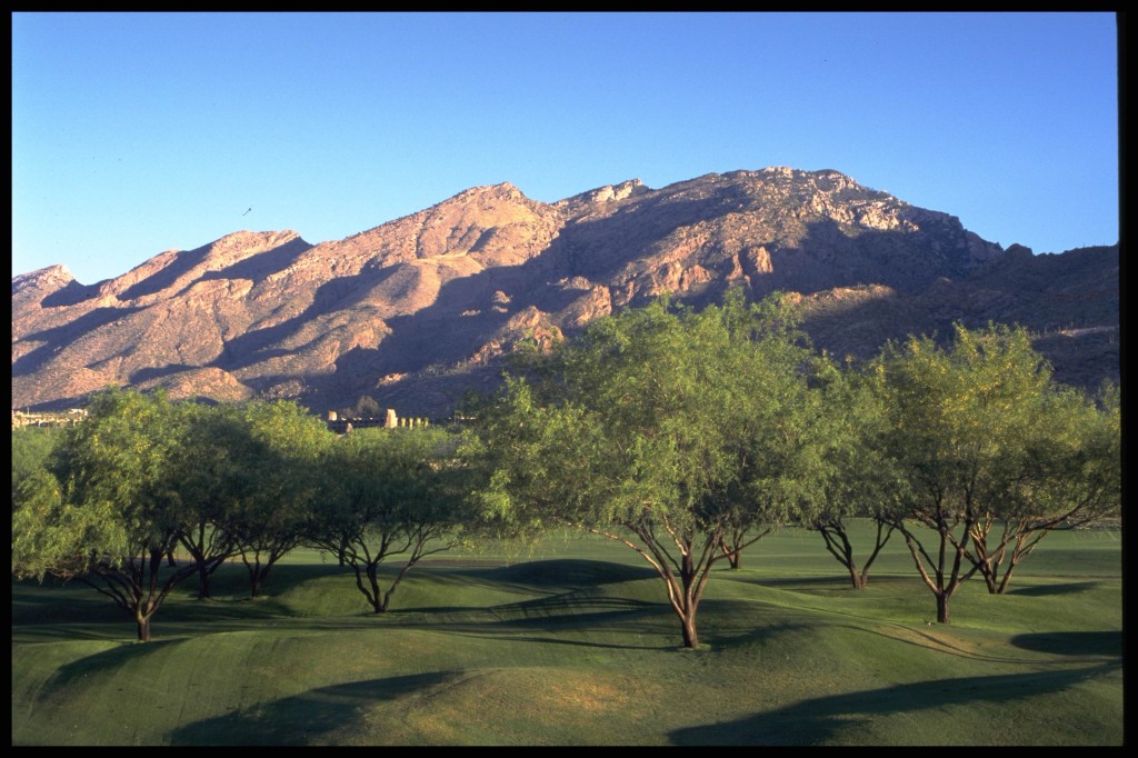 "Catalina Mountains" Tucson Arizona