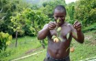 Brian Godwin nutmeg Grenada